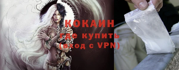 прущие грибы Новокубанск