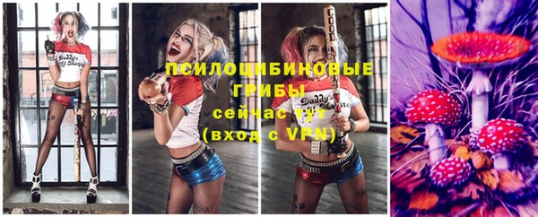 прущие грибы Арсеньев